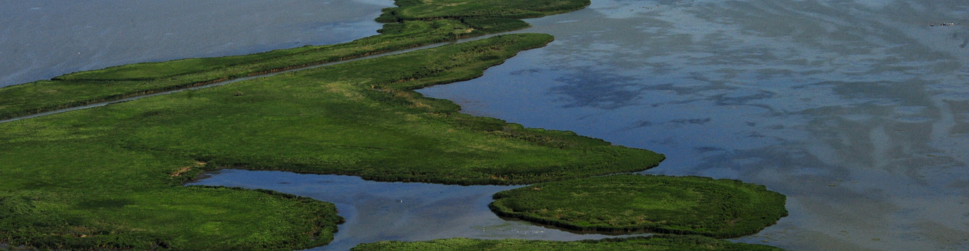 Overview of Ramsar Sites - Wetlands International