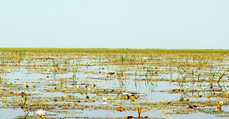 Maintaining wetlands as fresh water stocks in the Sahelian zone in the ...