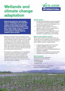 Publications, Reports And Video's Of Wetlands International