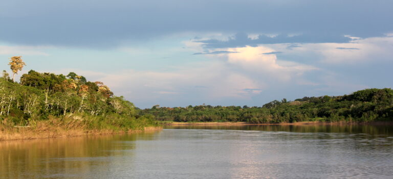 Javari river - Wetlands International