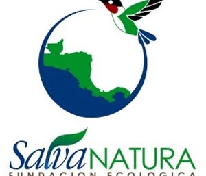 Central America Archives - Wetlands International