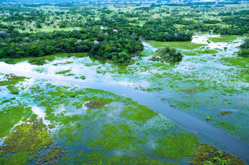 Corredor Azul - Wetlands International