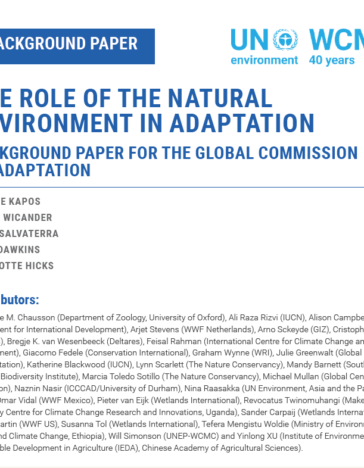 ADAPT NOW: A GLOBAL CALL FOR LEADERSHIP ON CLIMATE RESILIENCE ...