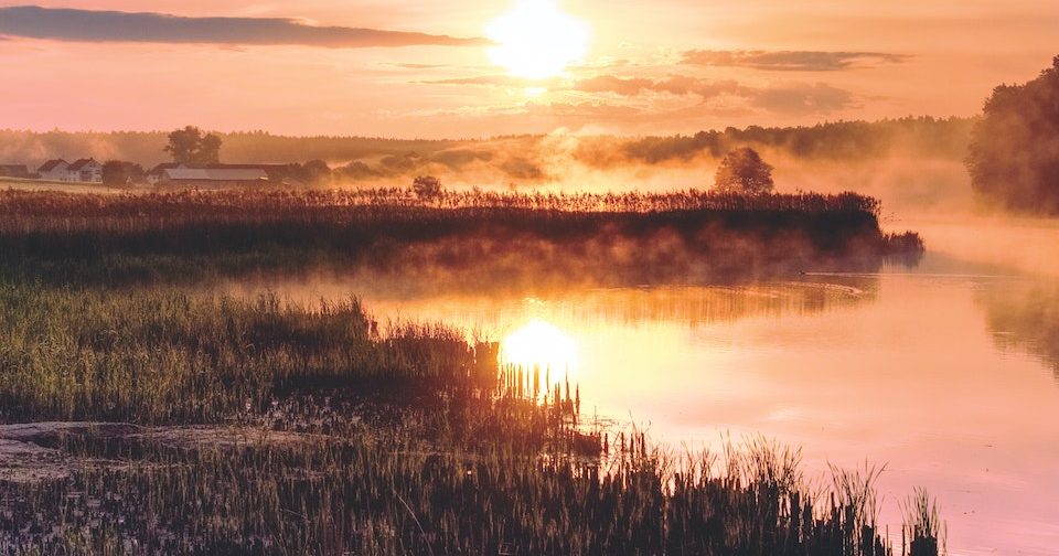 Peatlands - Wetlands International