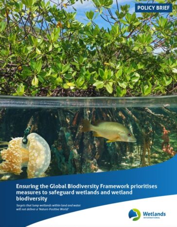 Ensuring The Global Biodiversity Framework Prioritises Measures To ...