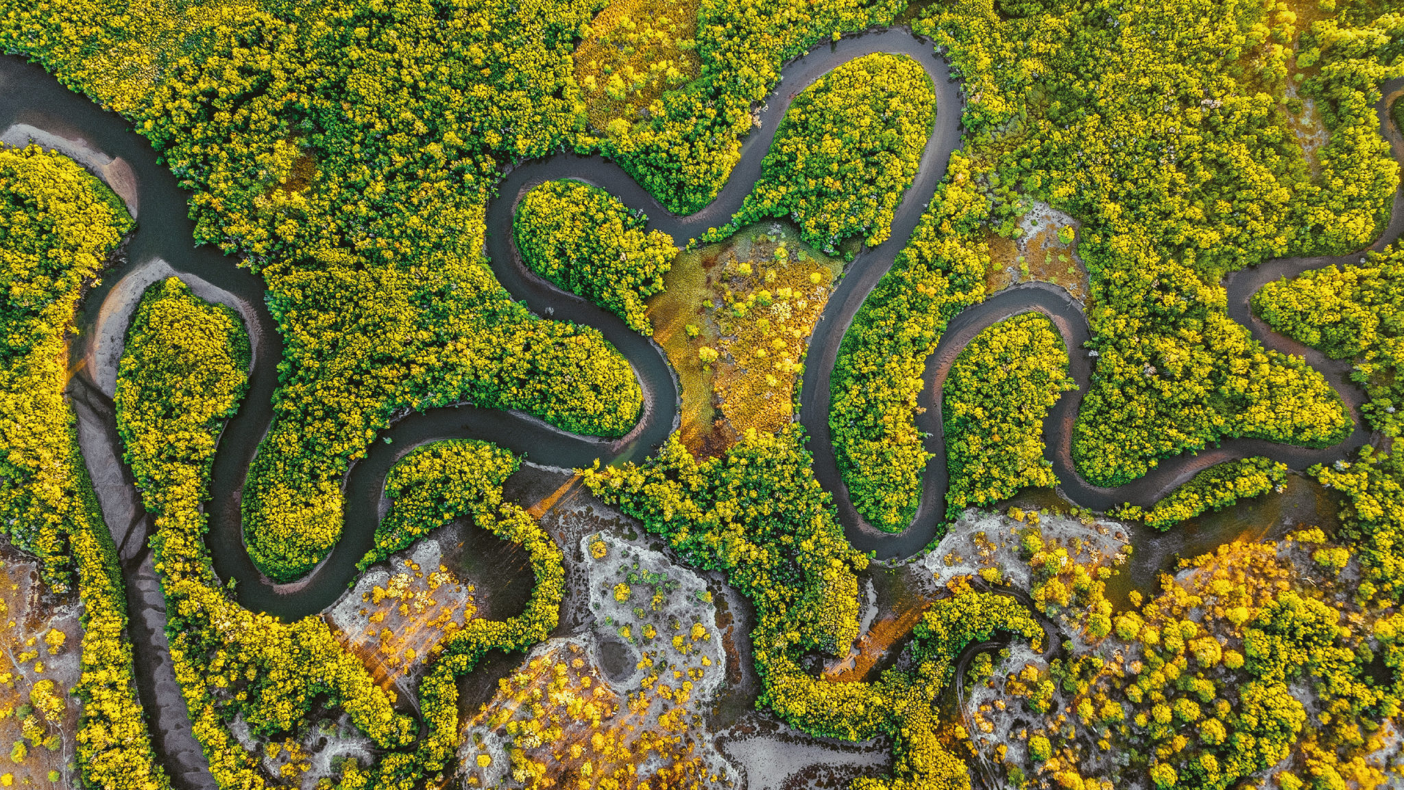 wetlands-international-at-ramsar-cop14-wetlands-international