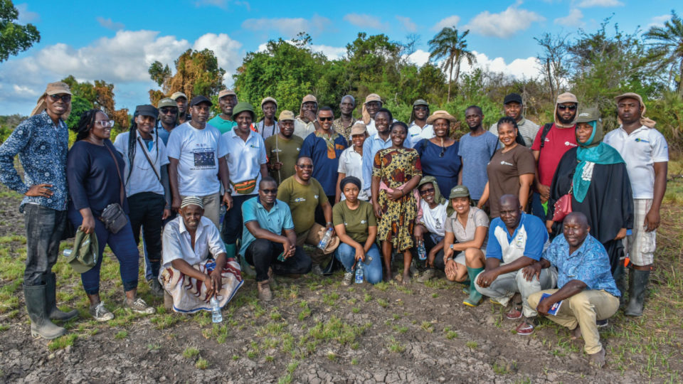 Wetlands International Facilitates Sharing of Best Mangrove ...