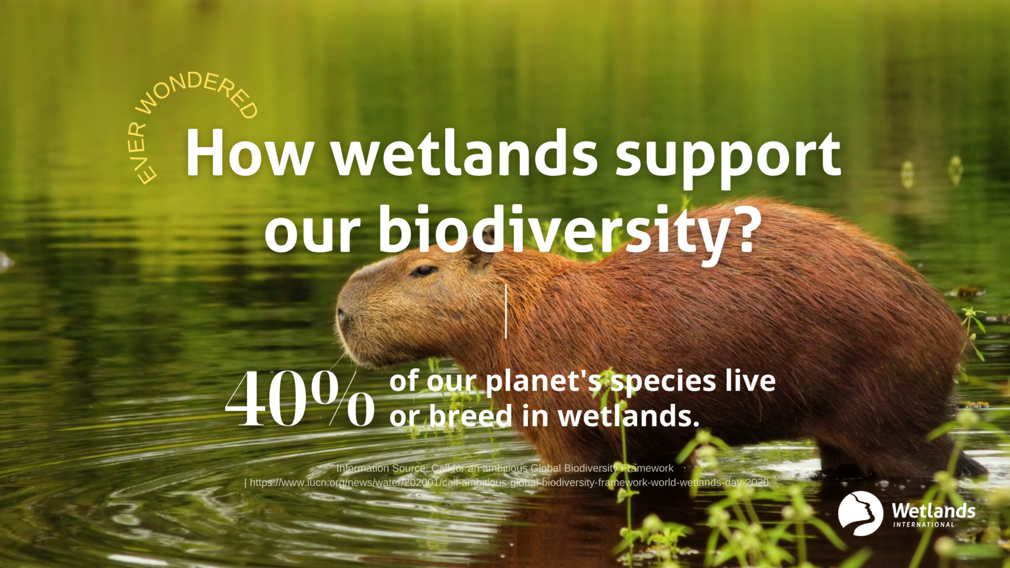 World Wetlands Day 2023 - Wetlands International