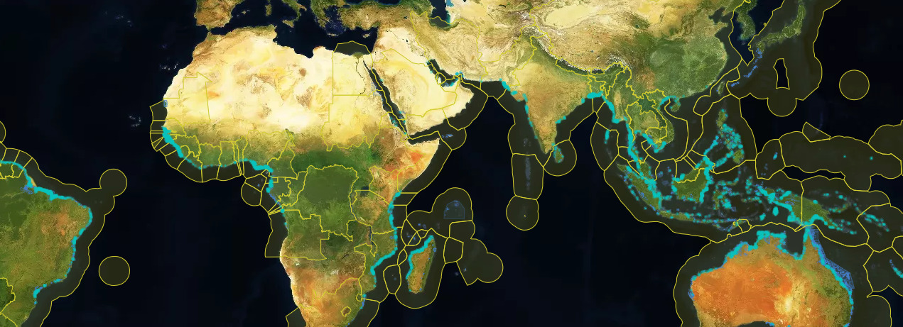 Integrating Mangrove Ecosystems into NBSAPs through the Global Mangrove ...