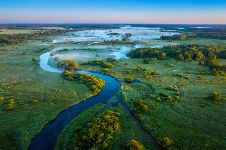 Home - Wetlands International