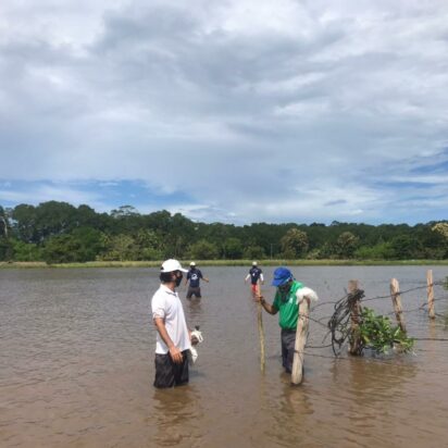 case study wetland management