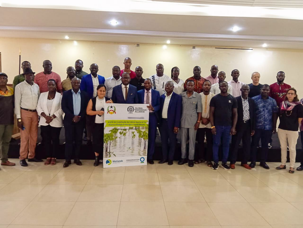 Launch of the Guinea Bissau National GMA Chapter