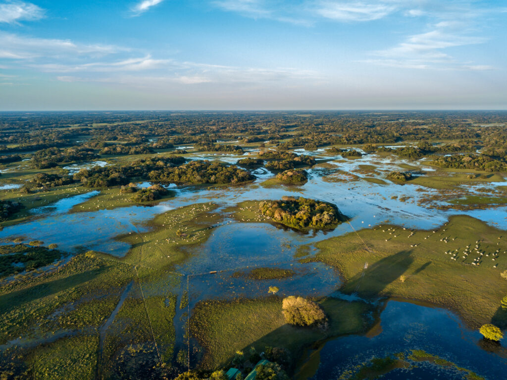 Corumba, Mato Grosso do Sul. Pantanal Biome (c) Adobe Stock 